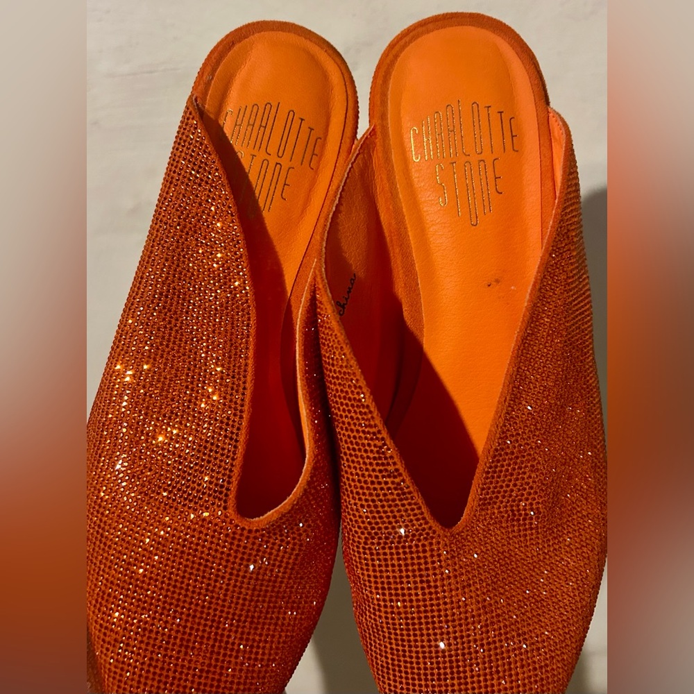 Charlotte Stone Calvin Mule Flats - Picture 2 of 5